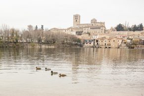 oposiciones lengua castilla y leon 2025 opolengua